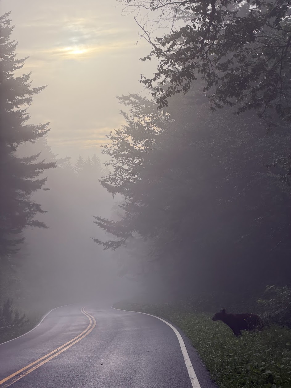 Smokey Bear